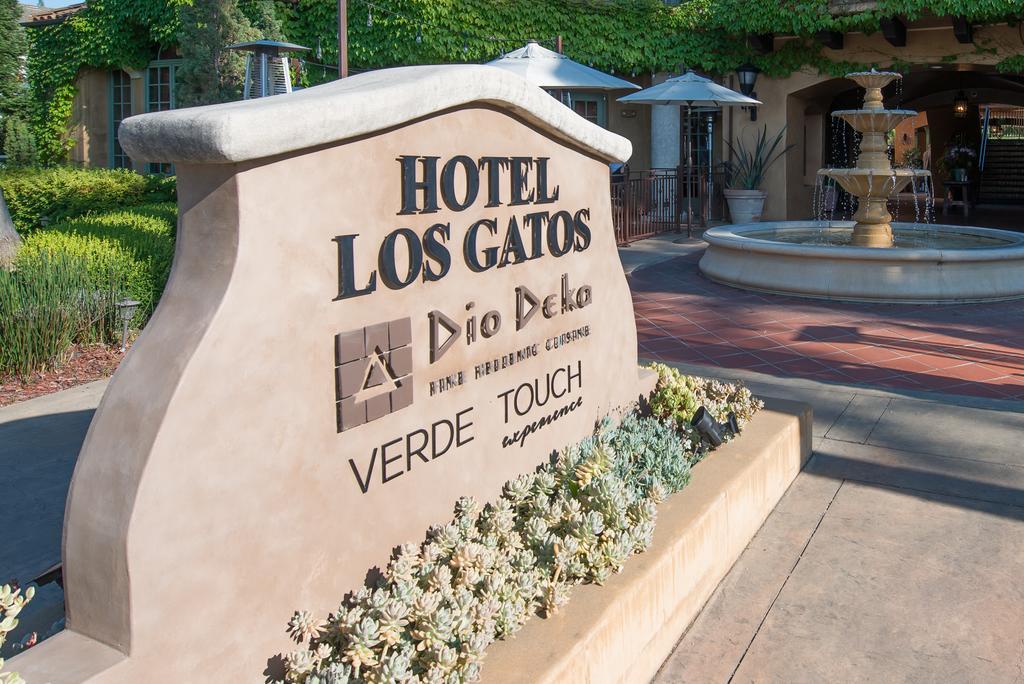 Hotel Los Gatos Exteriér fotografie